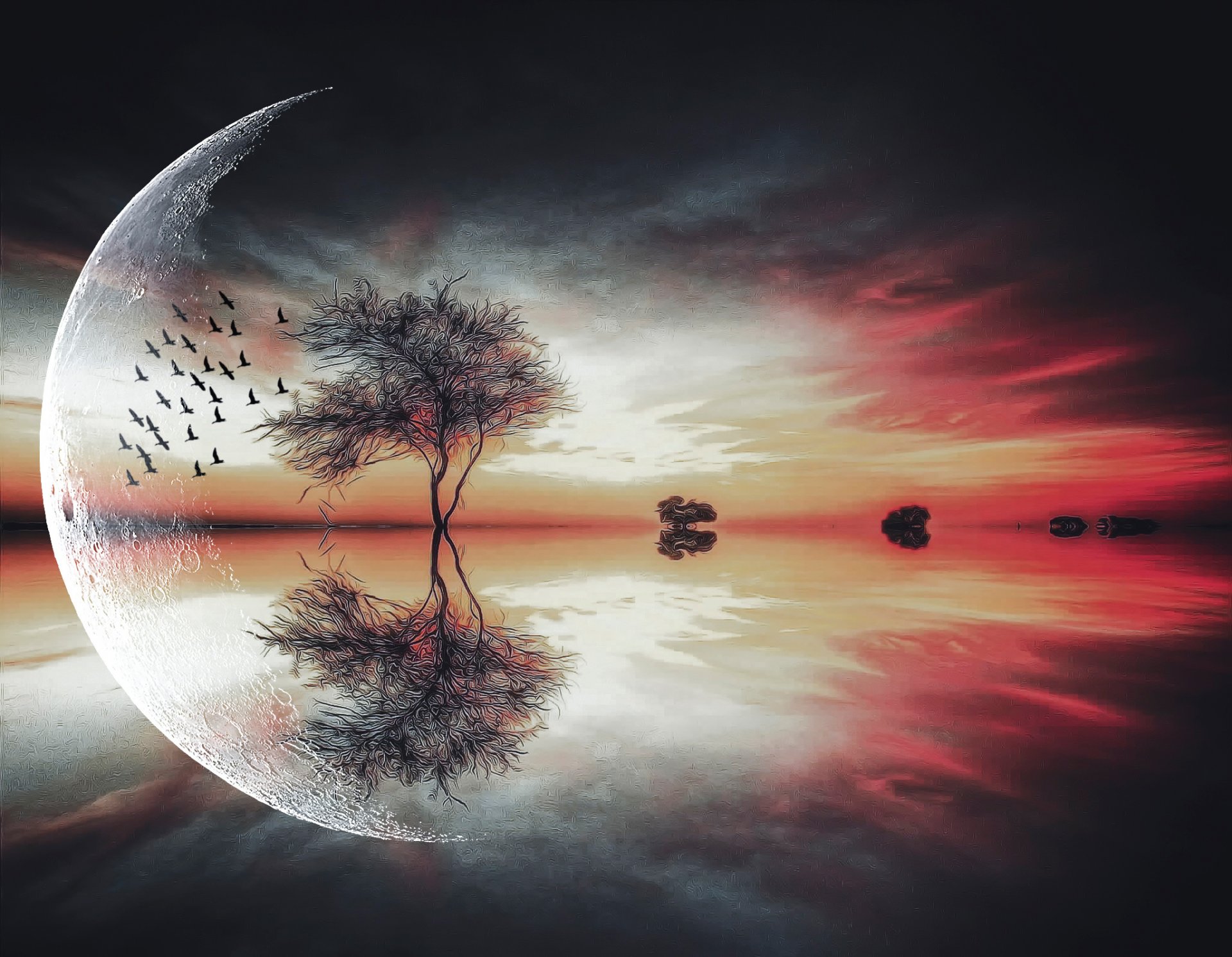 du fantastique de la lune les arbres les oiseaux