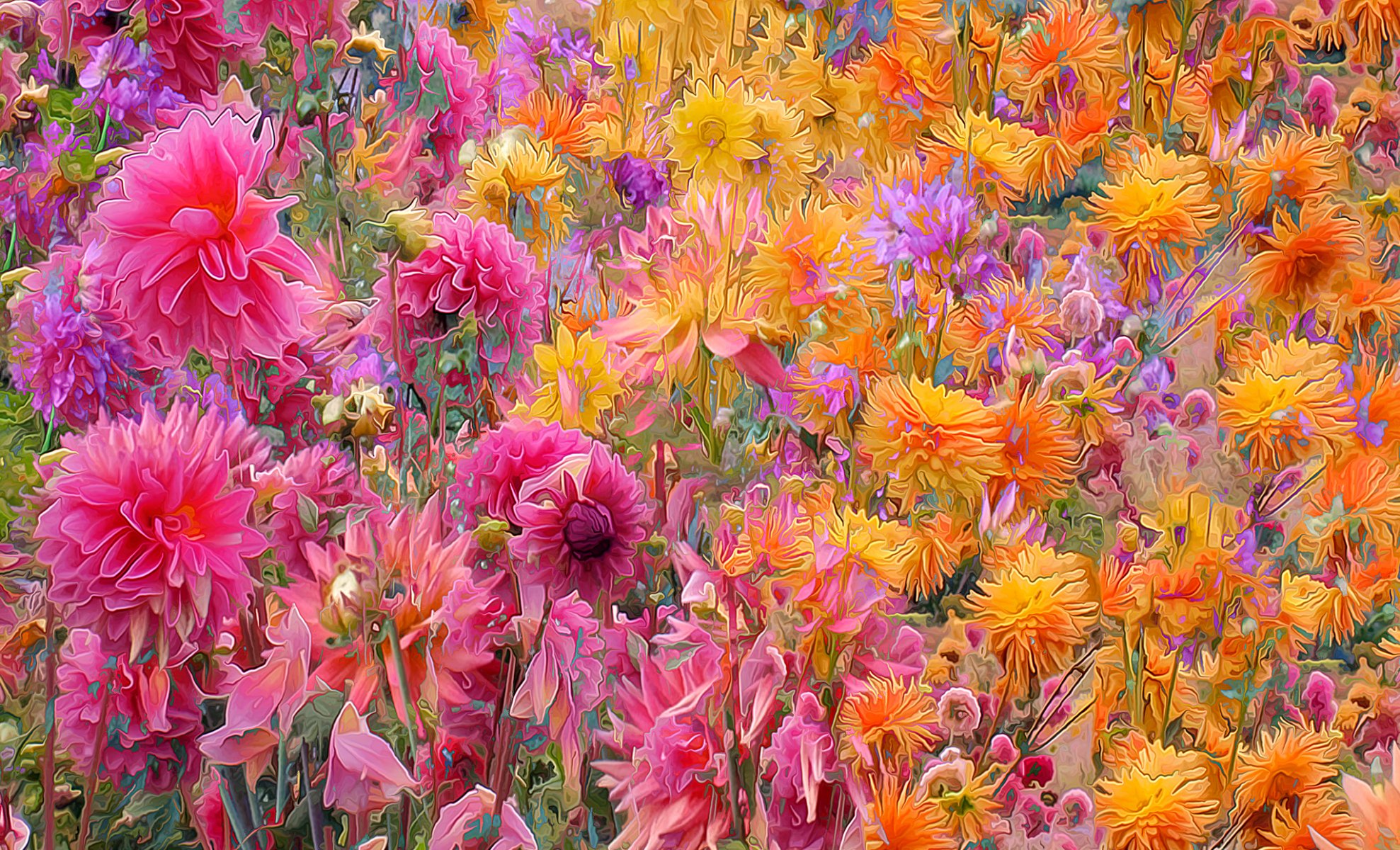 blumen wiese garten blütenblätter