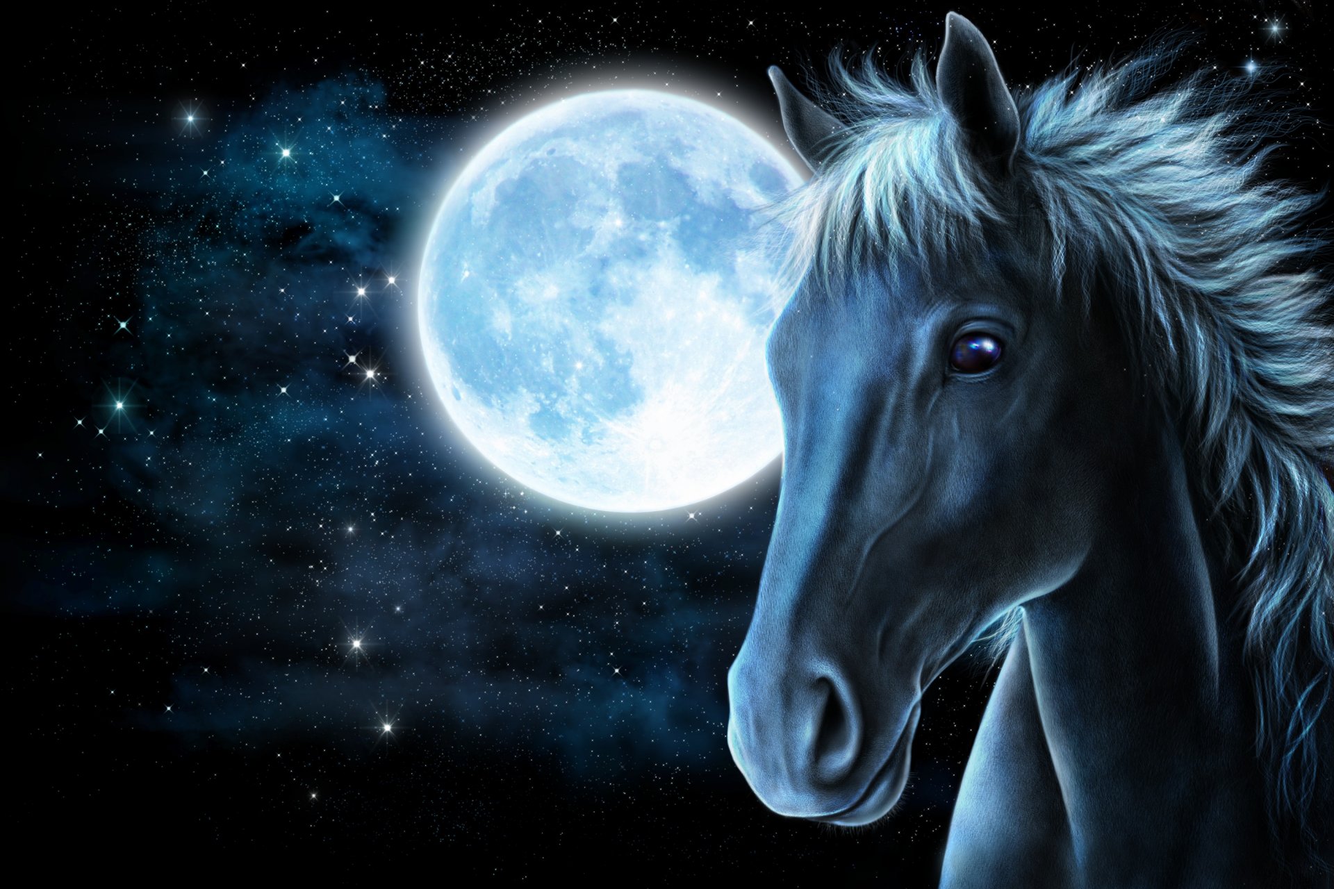 caballo caballo hocico luna estrellas representación