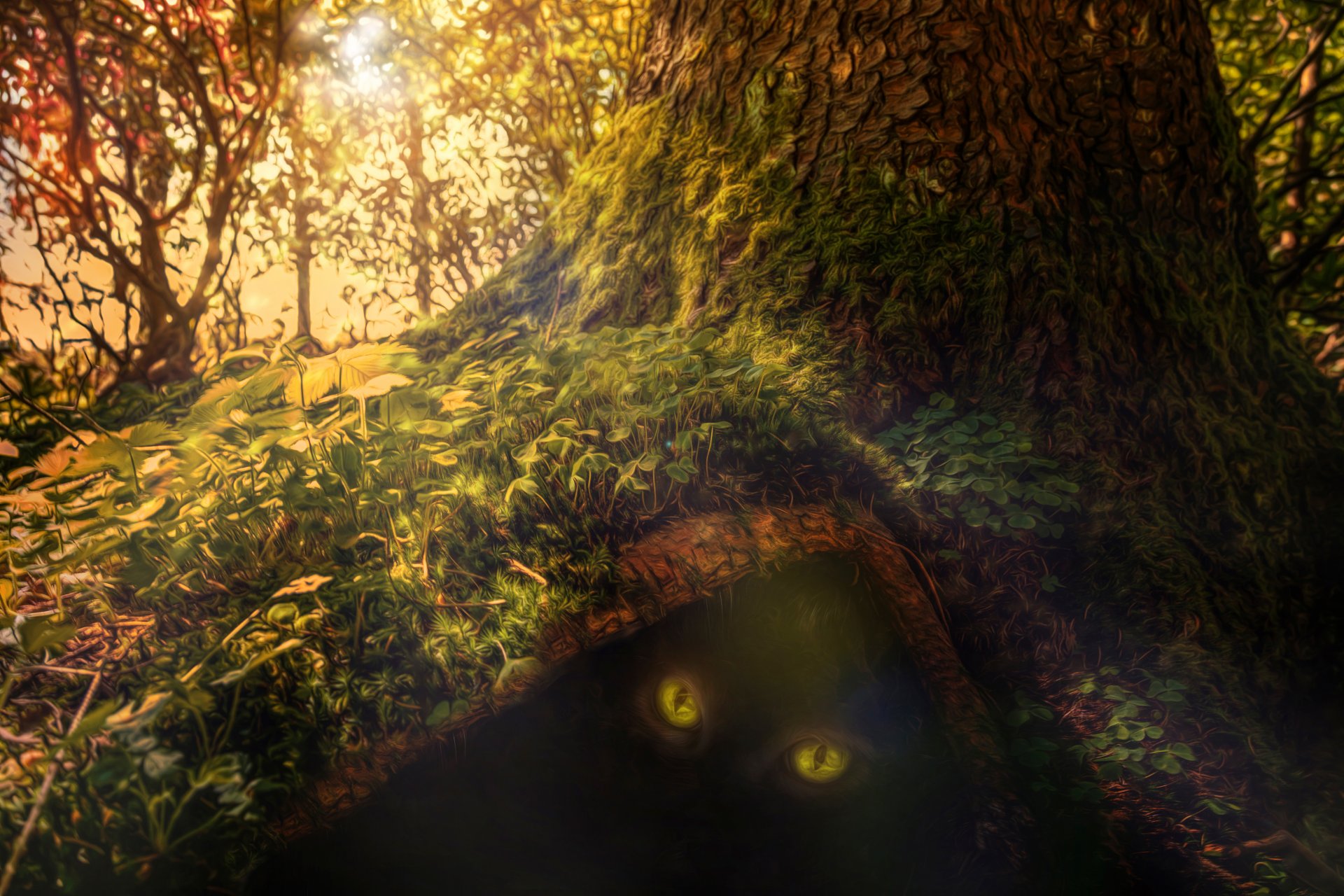 acércate bosque árbol ojos bestia manejo