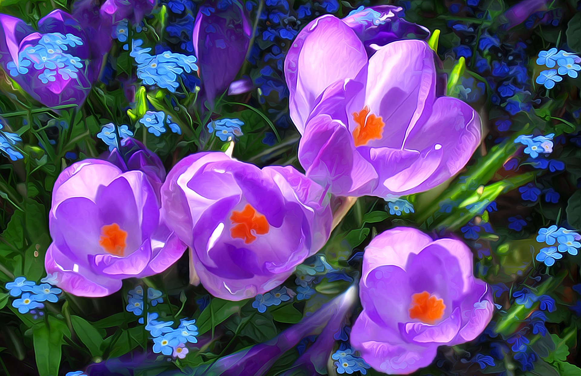 meadow the field grass flower crocus line