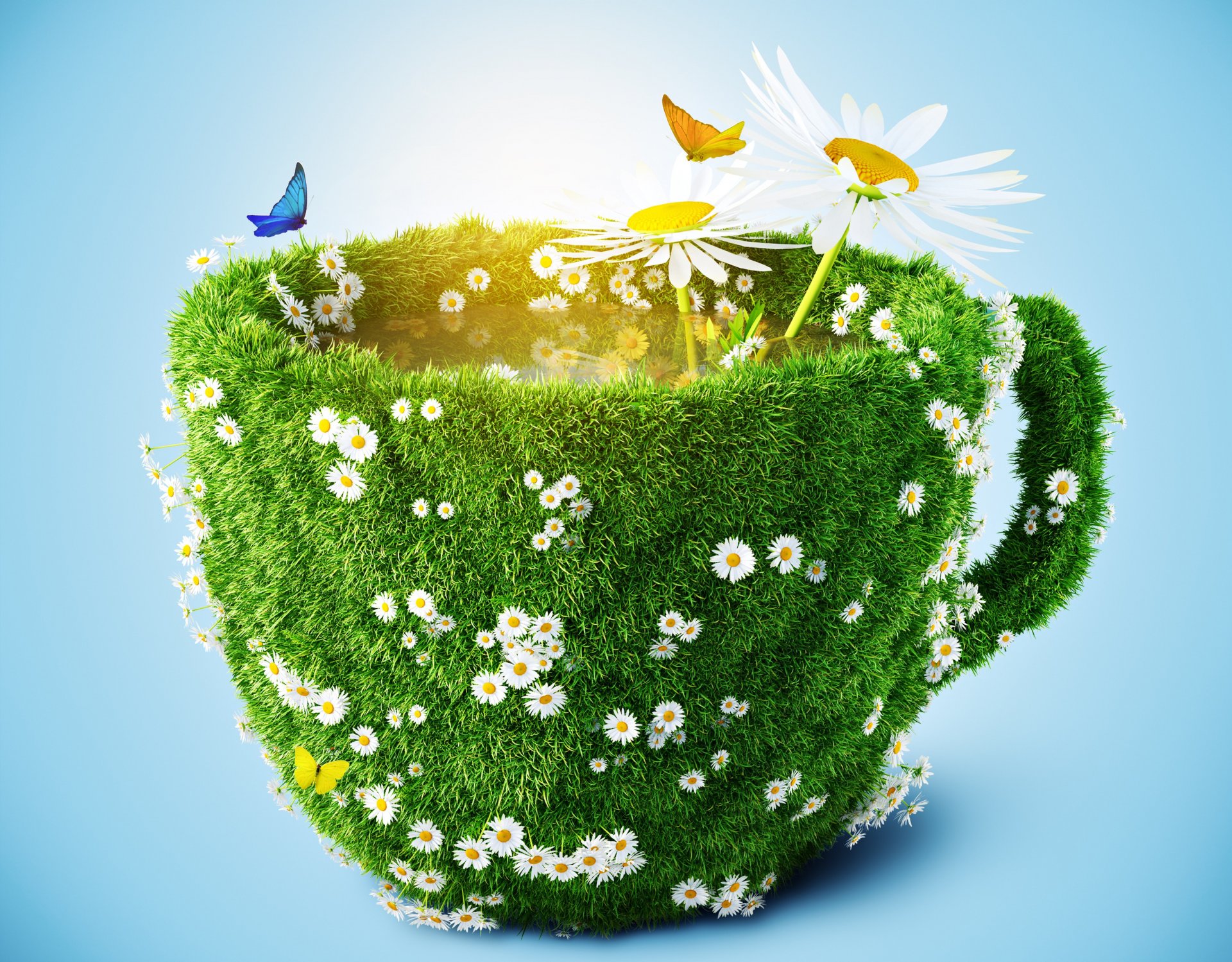 cup grass chamomile butterfly light background