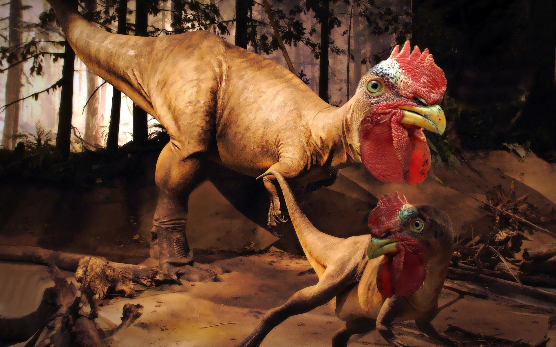 gallo rex dinosauro