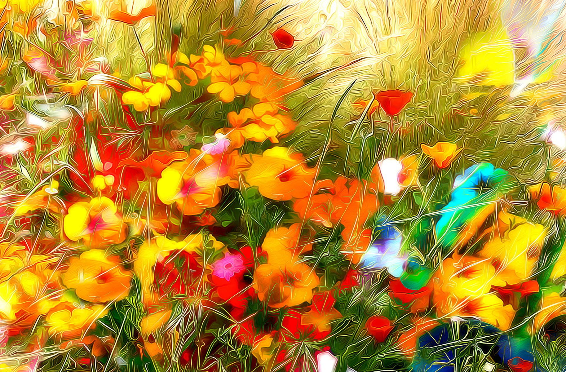 farben linien blumen gras blütenblätter feld wiese