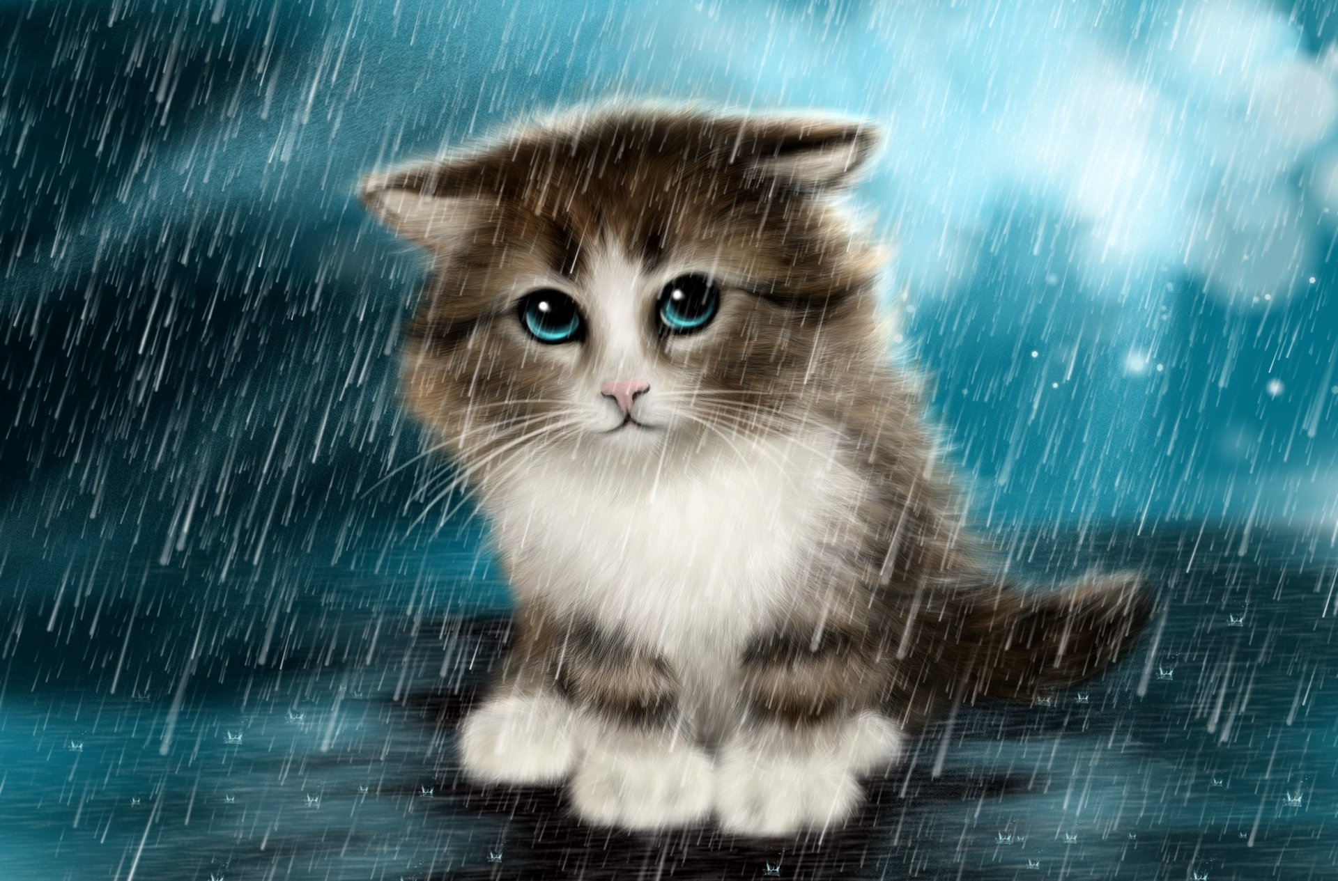 la pluie le chaton la tristesse