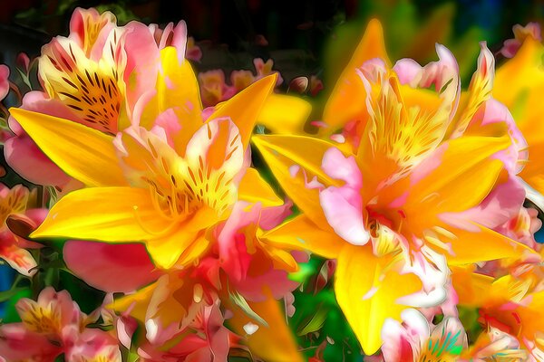 Schöne Lilien auf einem Blumenbeet im Garten