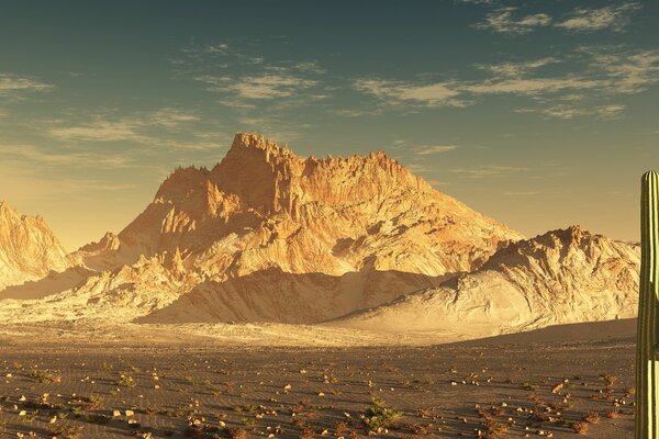 Great mountains and cactus in the desert