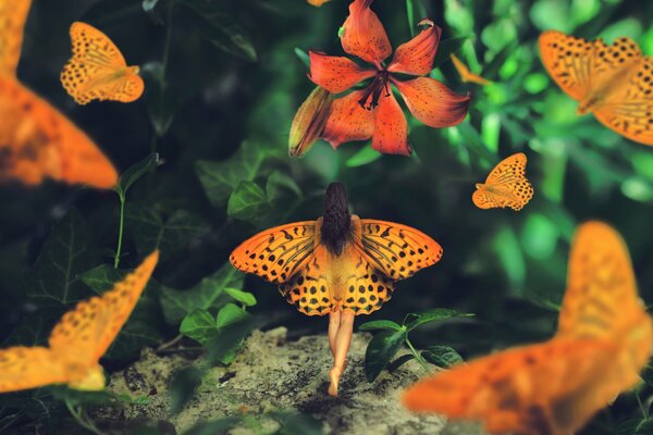 La jeune fille avec des ailes de papillons vaut le dos