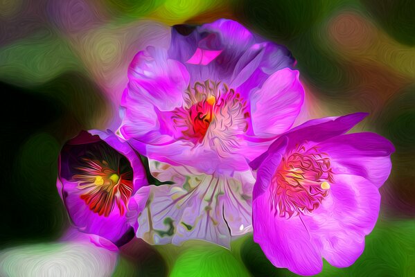 Spring manifests itself in the petals of flowers