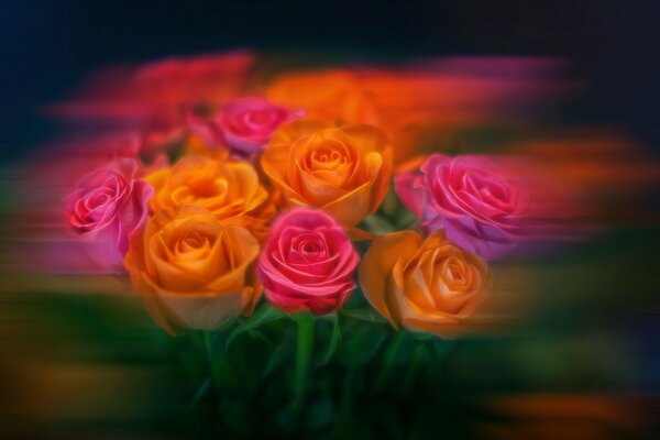 Bouquet of colored roses with blur