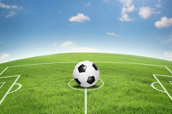 Balón en el centro del campo en el estadio