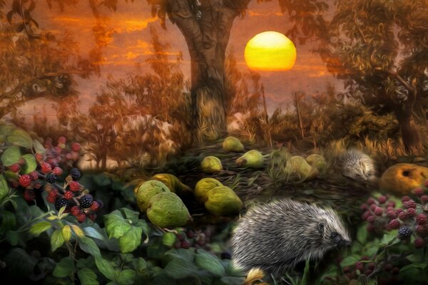 Hedgehog in the orchard with pears and blackberries