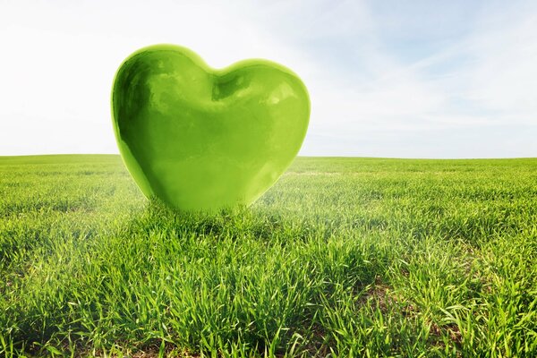 Green heart on the grass in summer