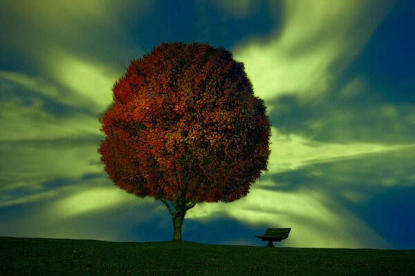 Einsamer Baum auf dem Hintergrund des magischen Himmels