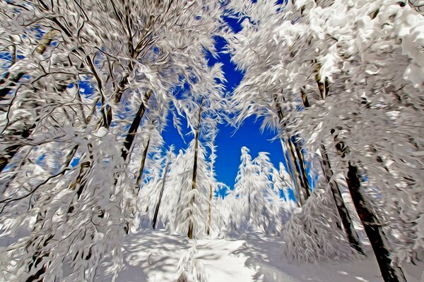 Snow-white winter against a blue sky