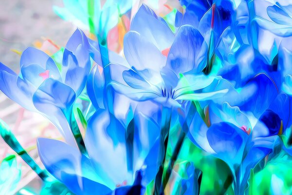 Blue flowers with oblong petals on a flower bed