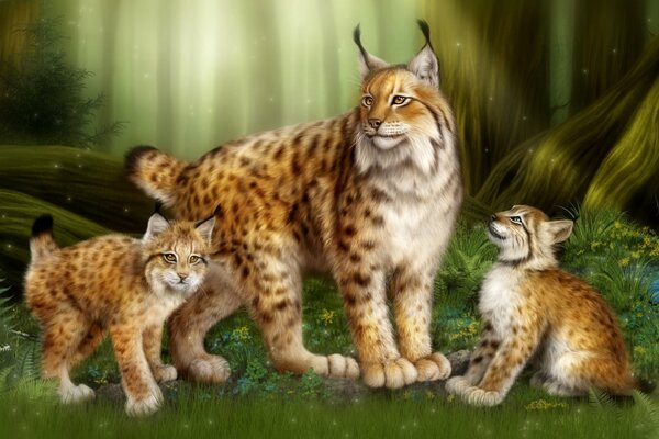 Le lynx avec des chatons dans la forêt