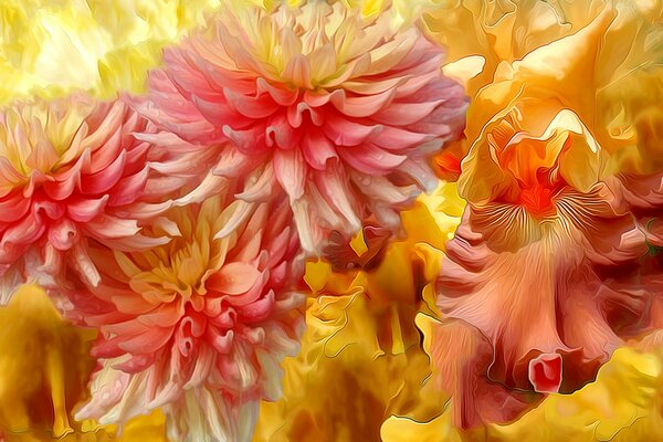 Yellow-orange flowers close-up