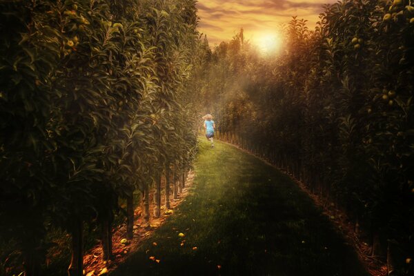 A girl walks along the alley during sunset