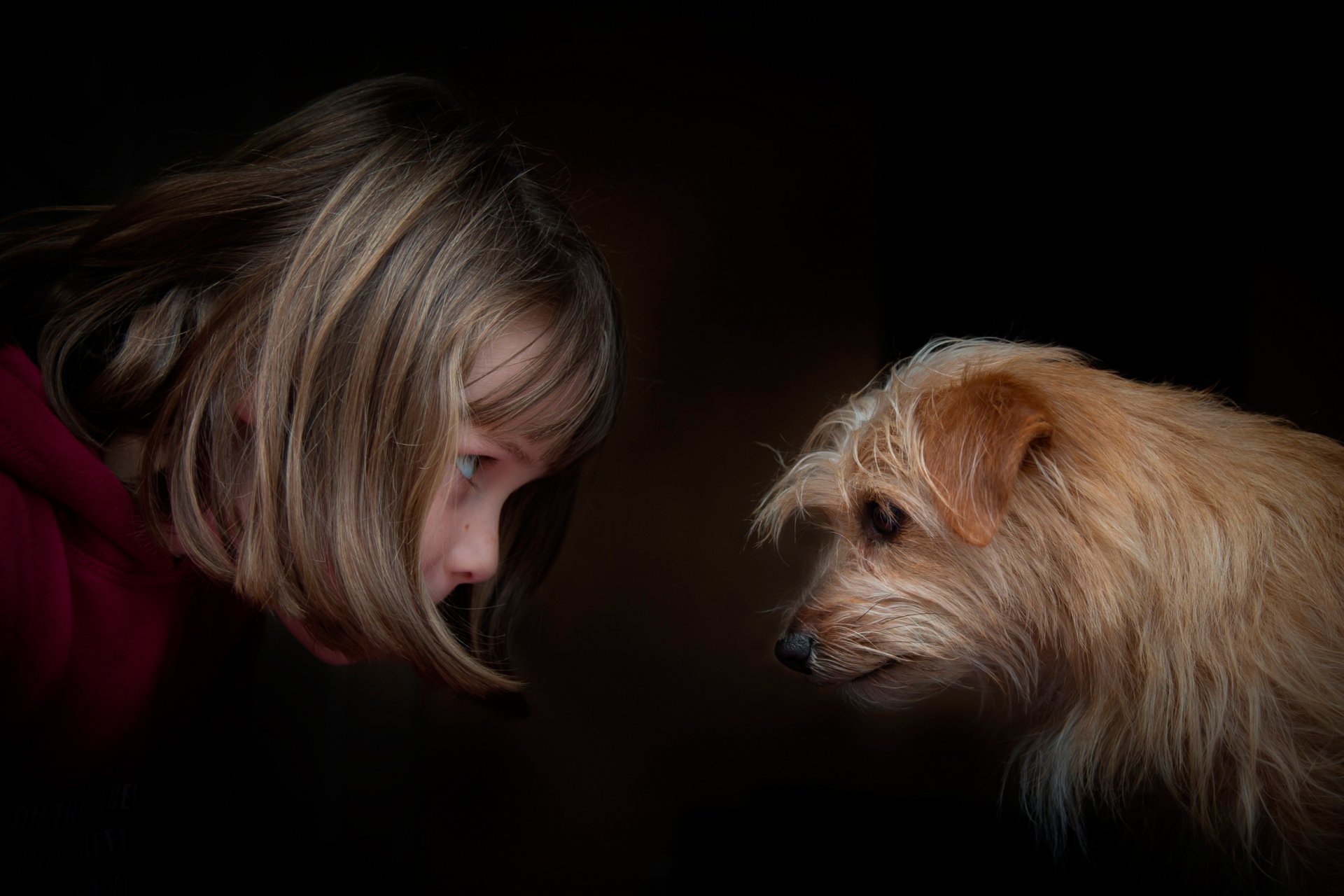 la petite fille le chien les yeux dans les yeux