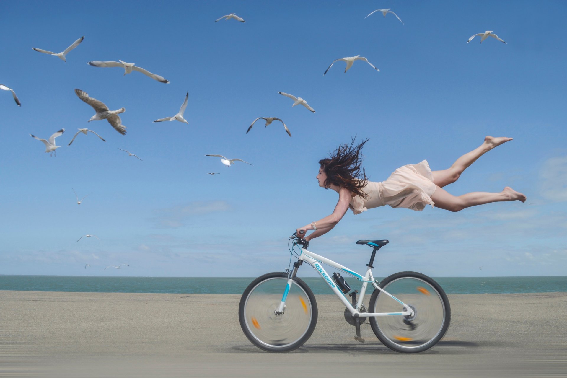 beach gulls girl bike speed