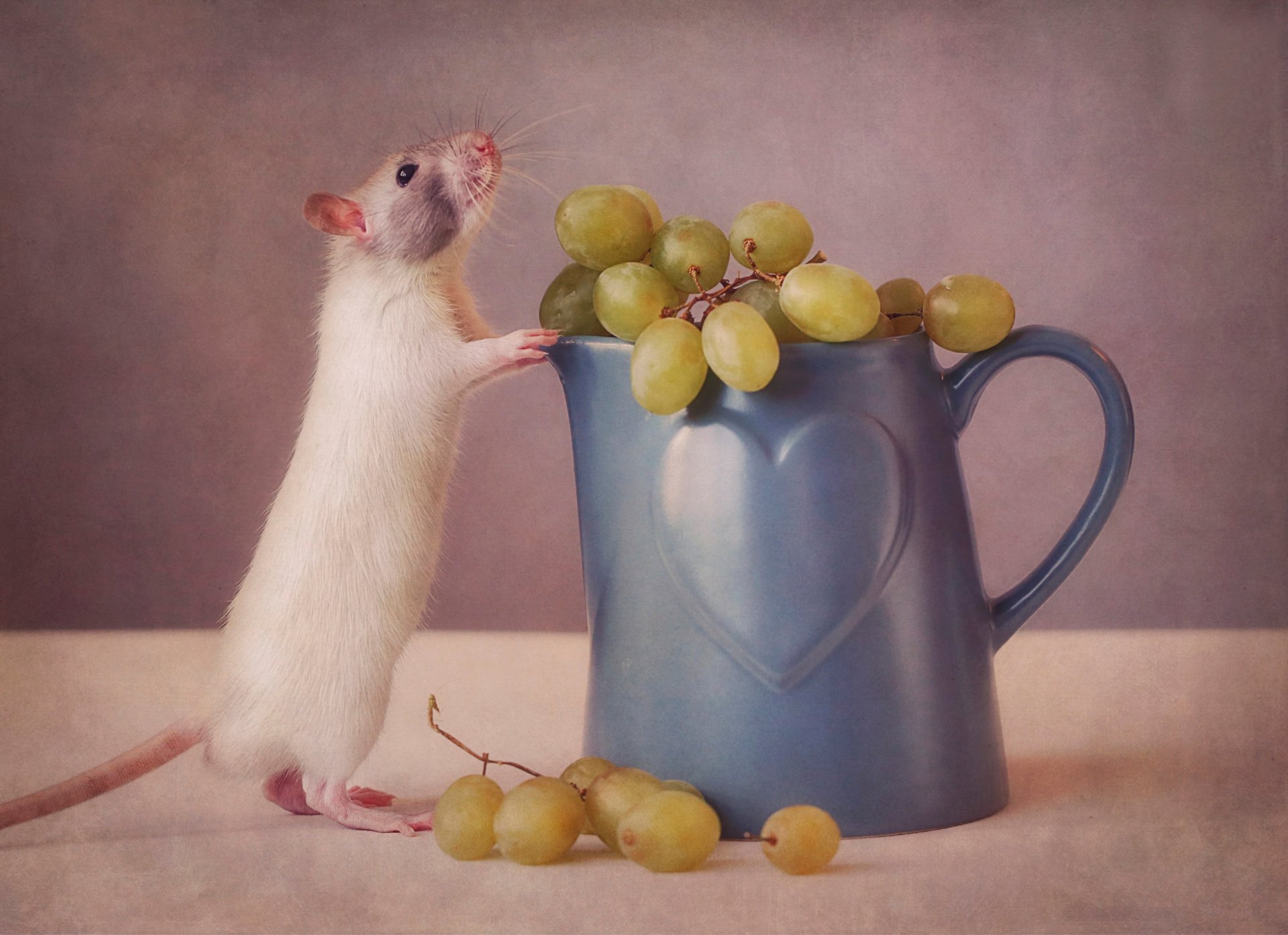 mouse mug grape