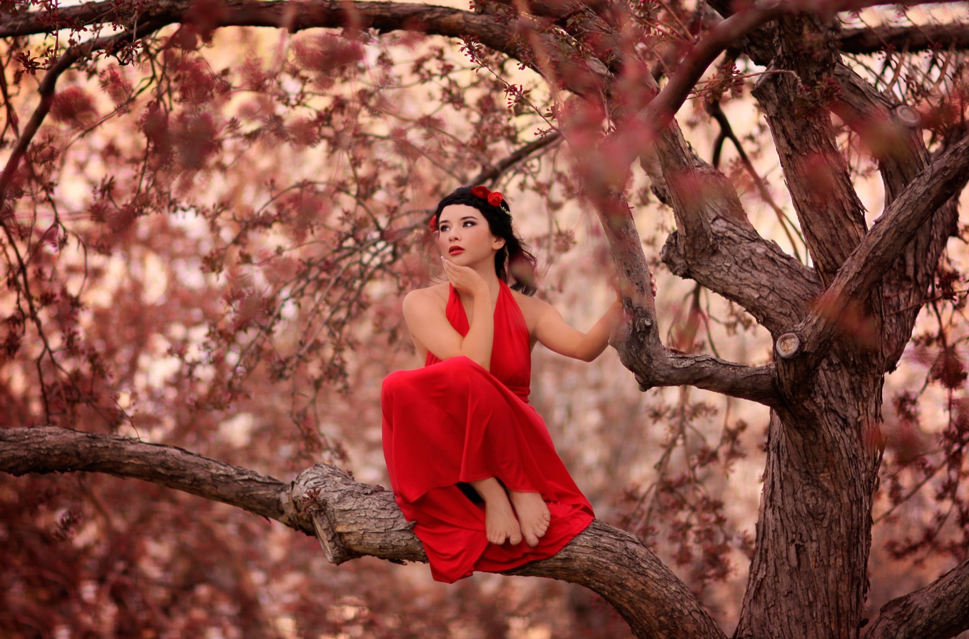 en el árbol chica vestido rojo