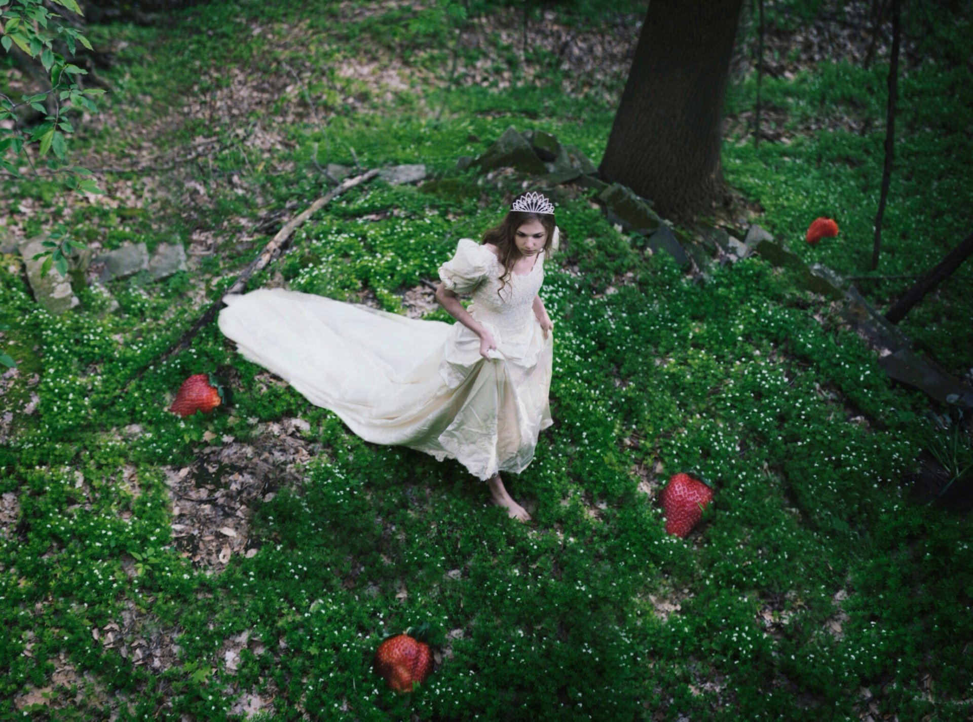 fille forêt fraise baies robe diadème