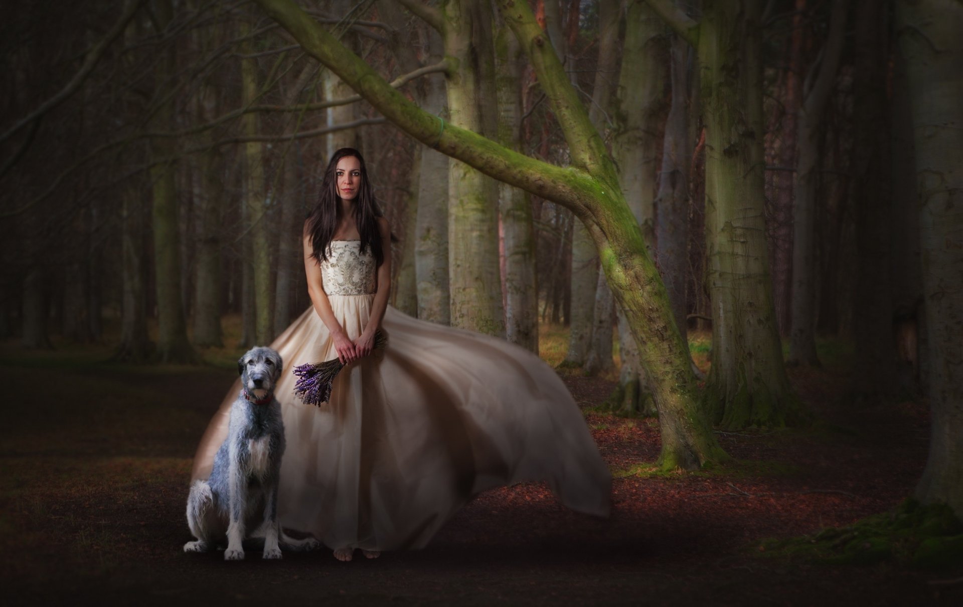 la jeune fille la robe le bouquet le chien la forêt l attente