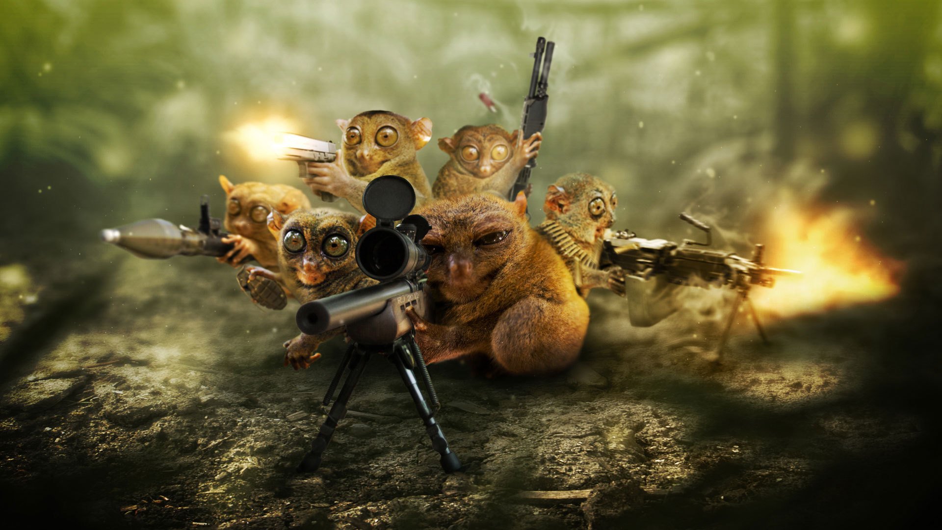 pygmy lorises weapon sniper defense background