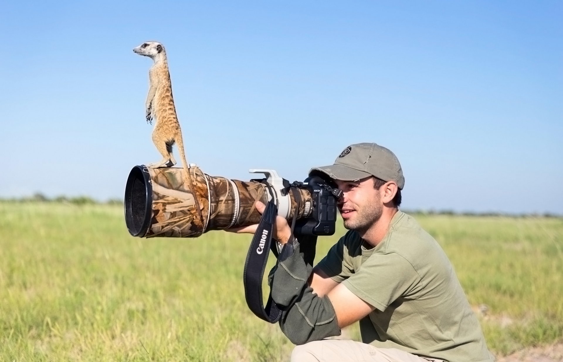 fotograf erdmännchen objektiv