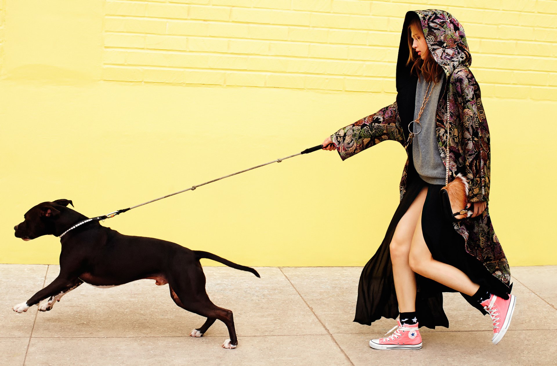 anais pouliot photoshoot dog anais pulo elle