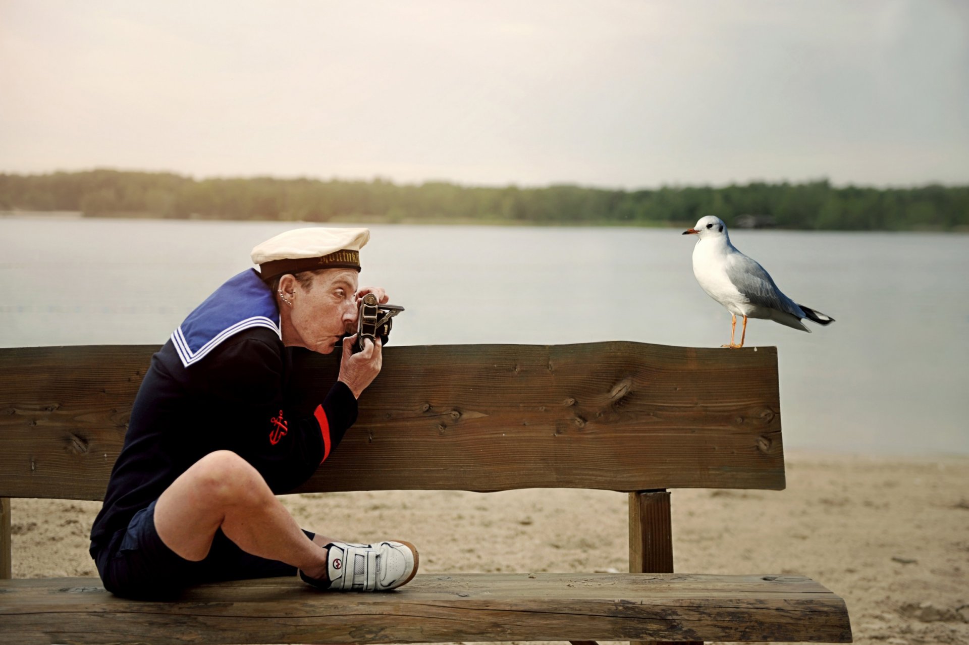 seemann möwe foto zur erinnerung humor