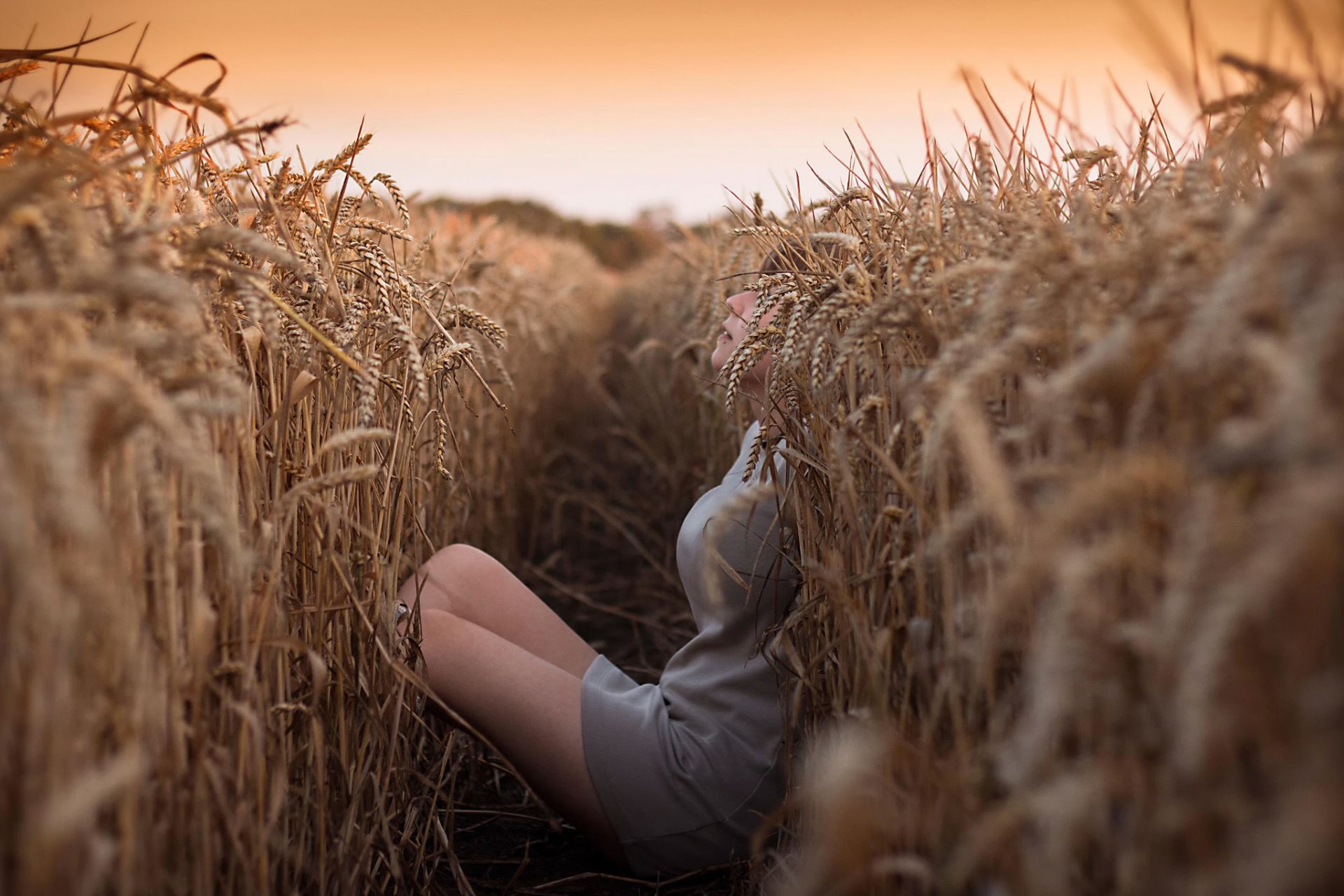 feld ohren mädchen versteck