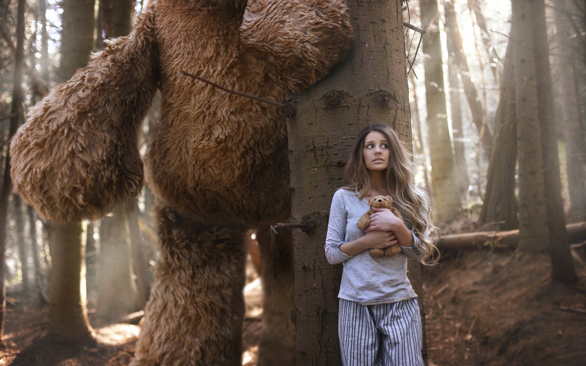 la jeune fille la forêt l ours