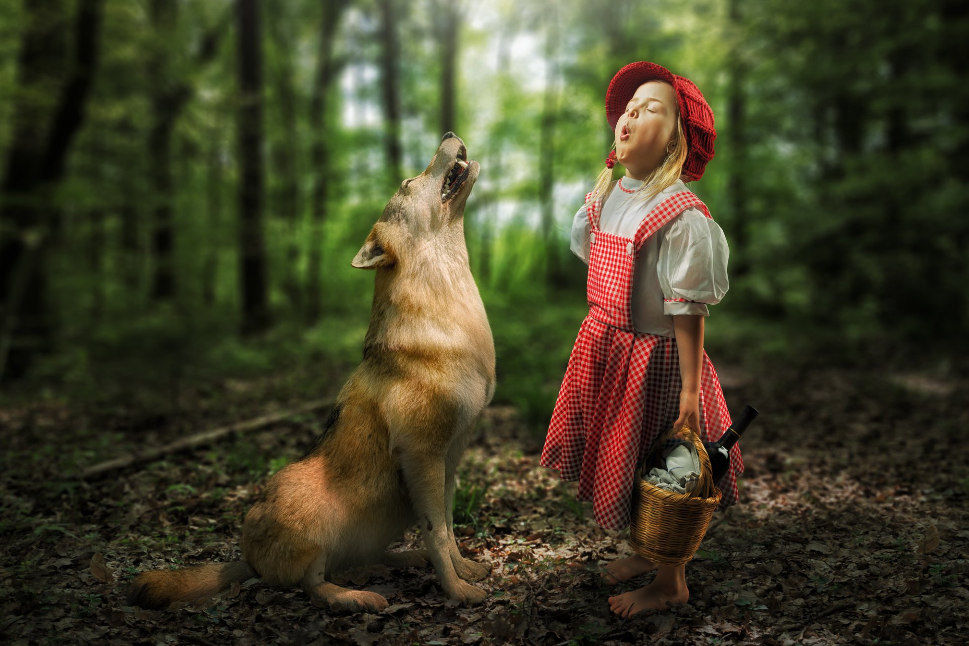 red riding hood girl wolf forest meeting the situation