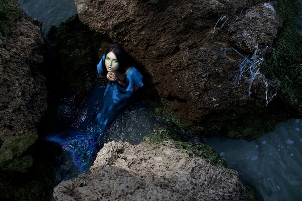 Bleu sirène dans les pierres, assis dans l eau