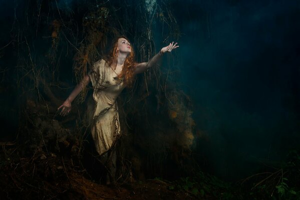 Fille à la racine de l arbre en regardant la forêt brumeuse