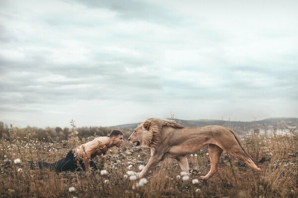 Beautiful exciting picture of a guy with a lion