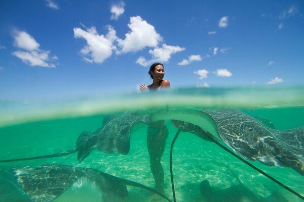 The girl in the ocean was surrounded by stingrays