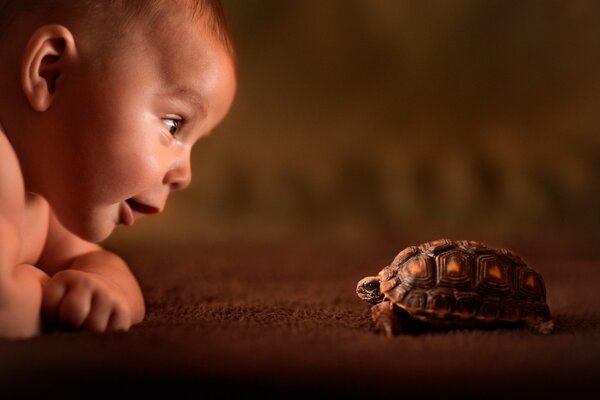 A child looks at a small turtle