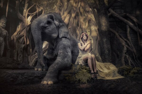 Beautiful photo shoot of a girl with an elephant