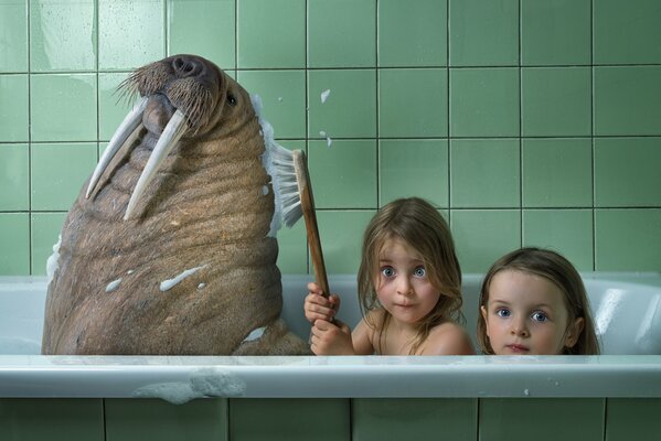 Ragazze lavare tricheco in bagno