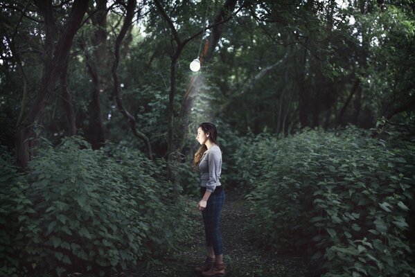 Atmospheric photos in a gloomy forest