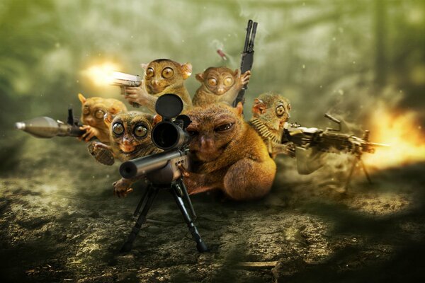 Los Loris caólicos usan armas