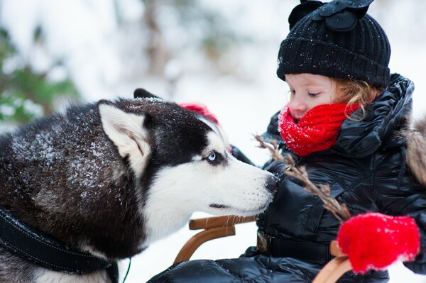 Niña y Husky en un paseo en invierno