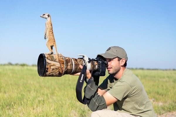 Erdmännchen sitzt auf der Linse eines Feldfotografen