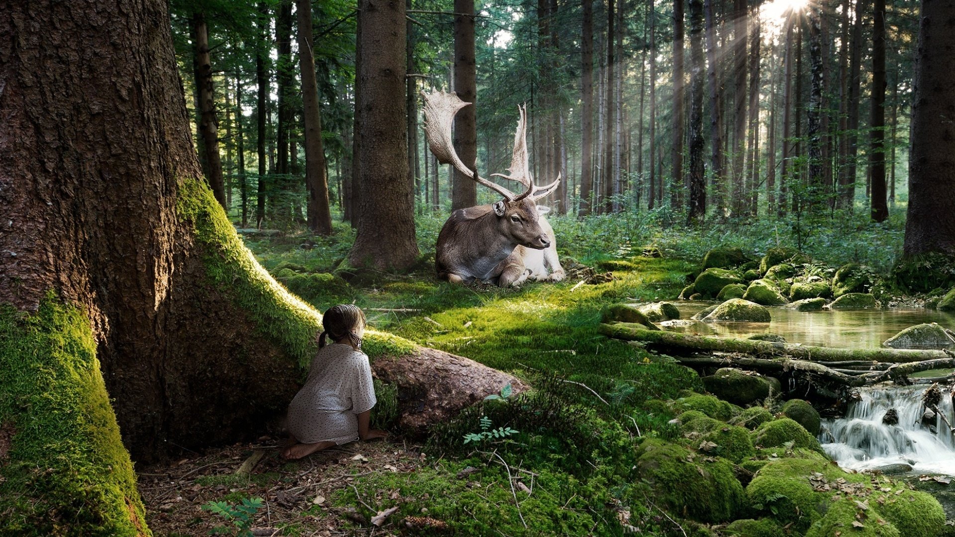 ragazza cervo foresta osservazione raggi ruscello