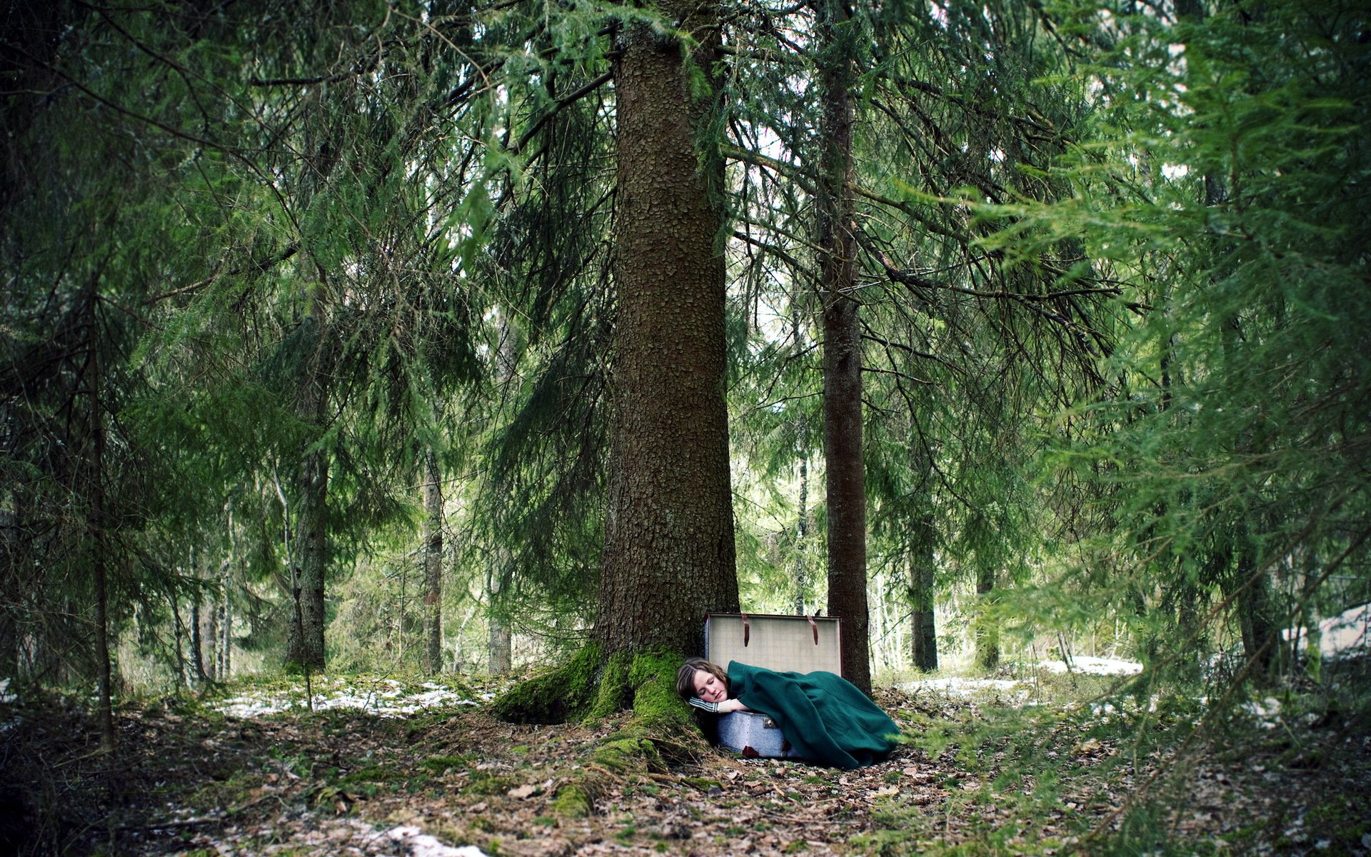 ragazza valigia foresta situazione