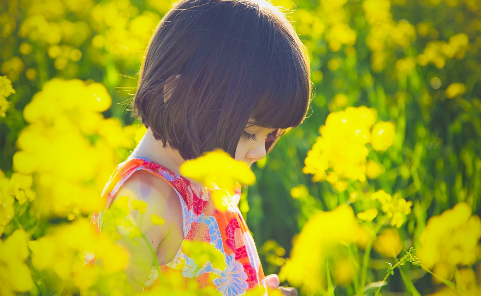 situations humeurs enfants fille brunette robe fleurs fleurs jaune soleil nature plante fond d écran